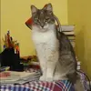 Отзыв от Таисия Киселева